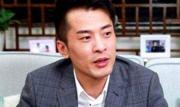 辛巴爆料王海视频